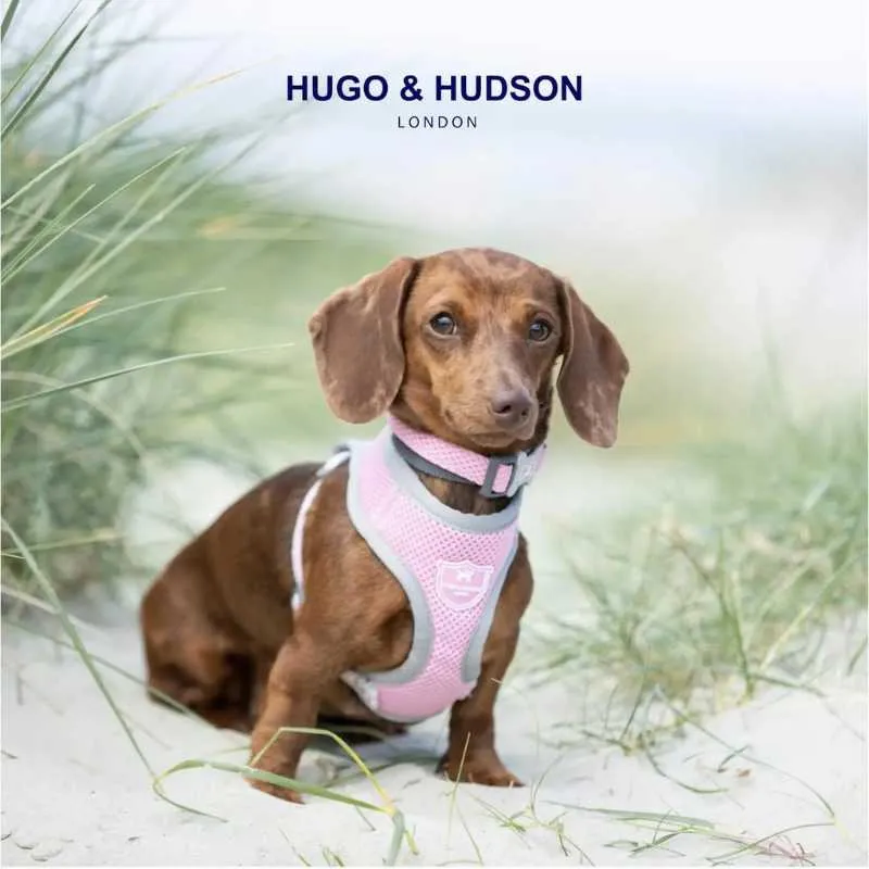 Pink Mesh Dog Harness